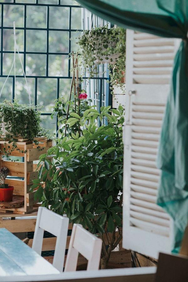 Momento Boutique House 1 Vandrerhjem Hanoi Eksteriør bilde